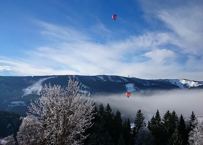 公寓 Haus Ellbrunn 费尔兹姆斯