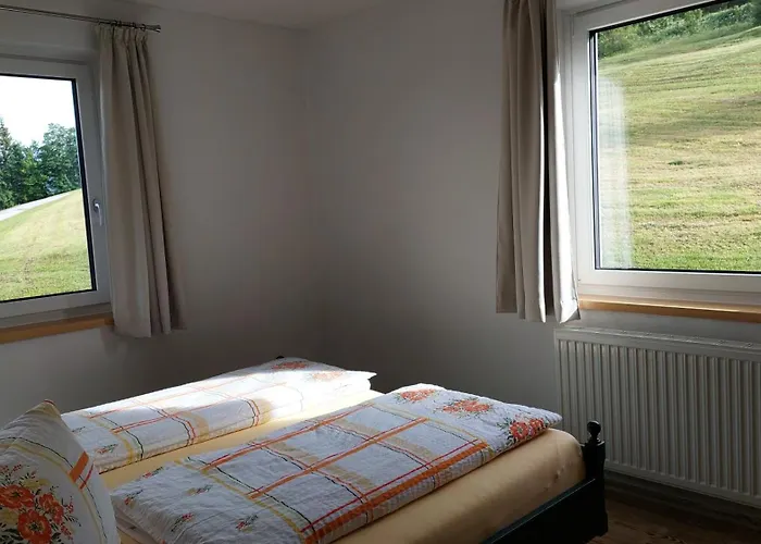 公寓 Haus Ellbrunn 费尔兹姆斯