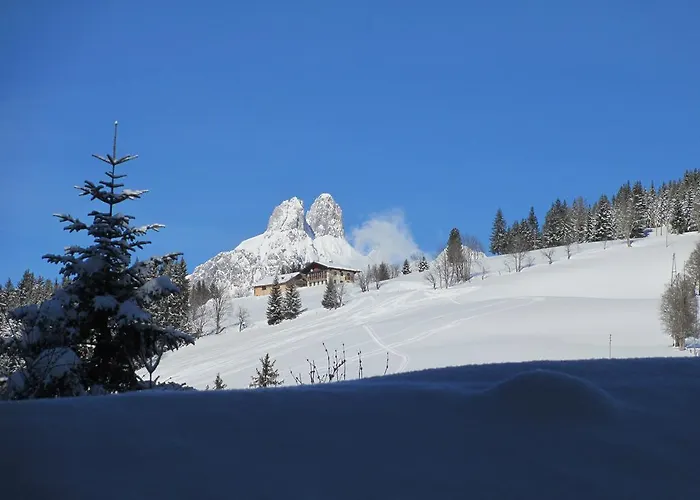 公寓 Haus Ellbrunn 费尔兹姆斯