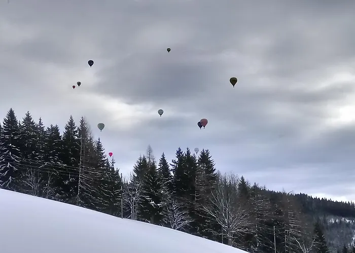 Haus Ellbrunn 公寓 费尔兹姆斯